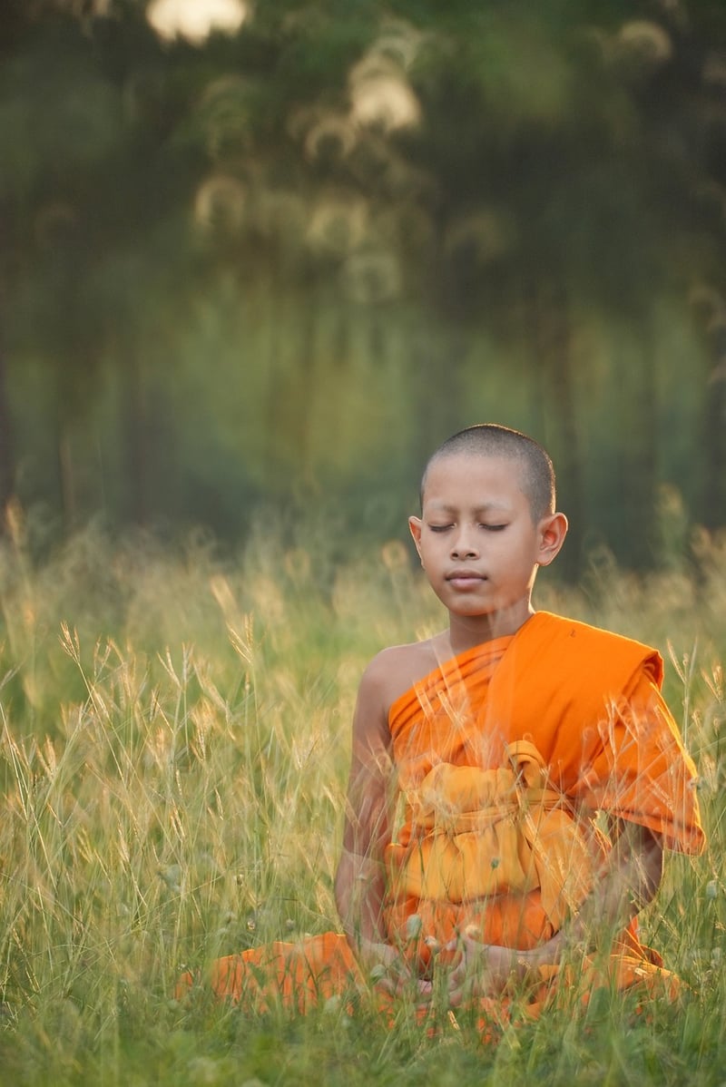 Wellness Image